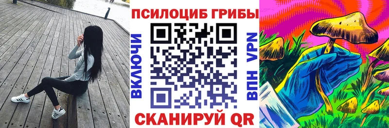 Псилоцибиновые грибы GOLDEN TEACHER  Купить  Светогорск 
