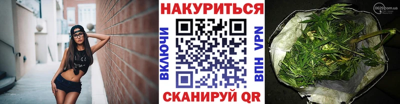 Купить где  Светогорск  МАРИХУАНА сатива 